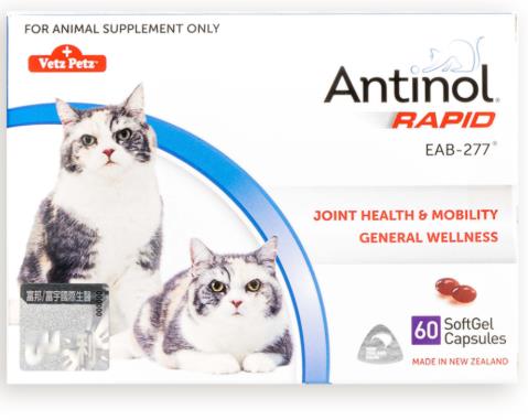 安適得 貓版 犬貓用60顆裝 保健關節/皮膚/心血管/腸道支持/神經認知機能,忠愛動物醫院