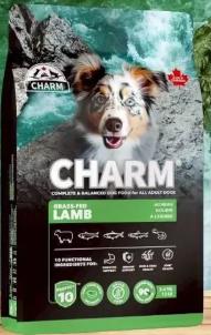 CHARM野性魅力犬<羊肉>超能精華 健胃護腸 強健防護 潤膚美毛 活力關節 340g 1kg,忠愛動物醫院