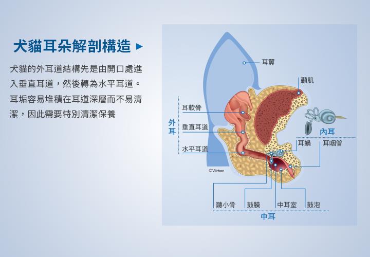 忠愛動物醫院